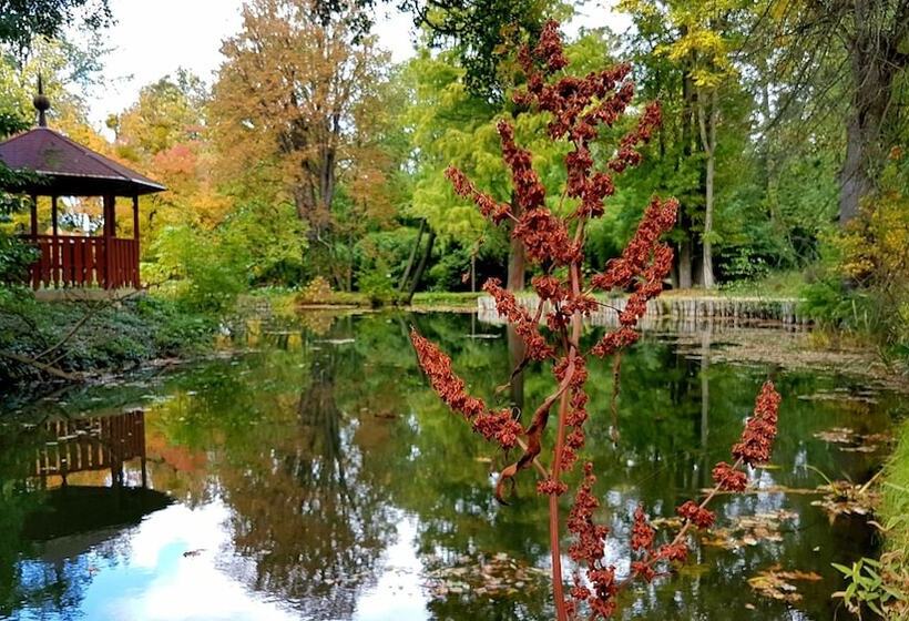 Főnix Hotel Bükfürdő
