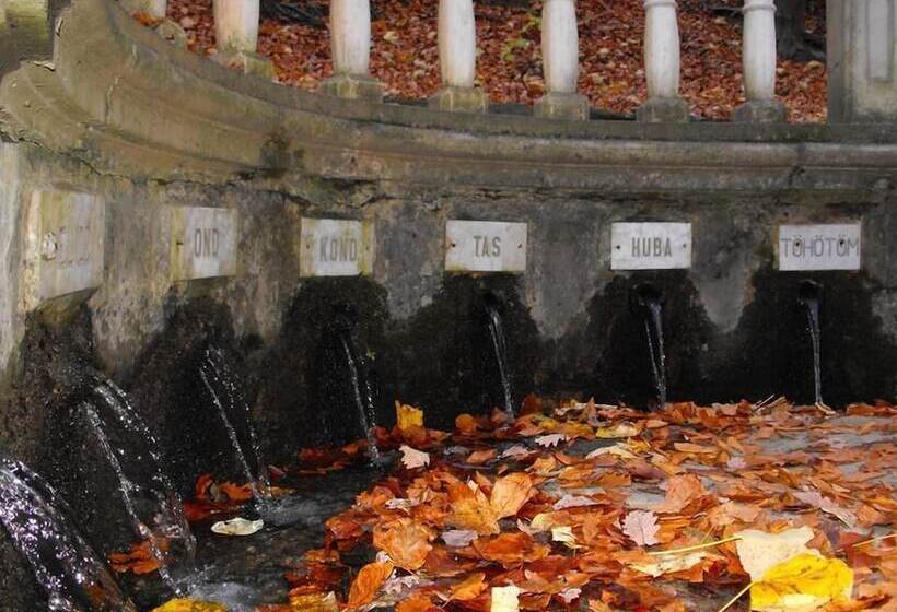 Főnix Hotel Bükfürdő