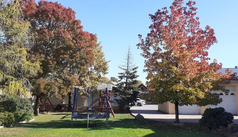 Отель Kenguru Panzió