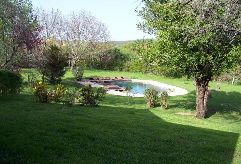 فندق Káli Art Inn