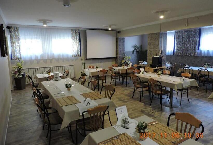 酒店 Marvany Panzio