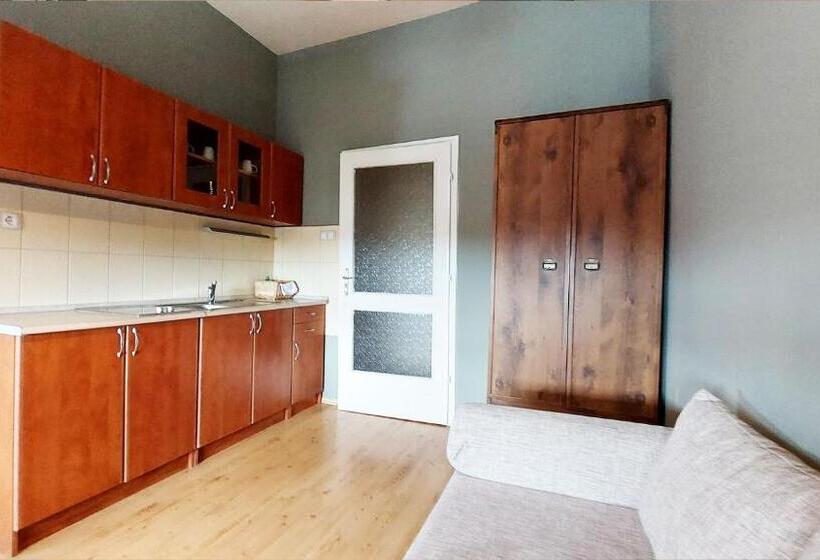 酒店 Oazis Panzió