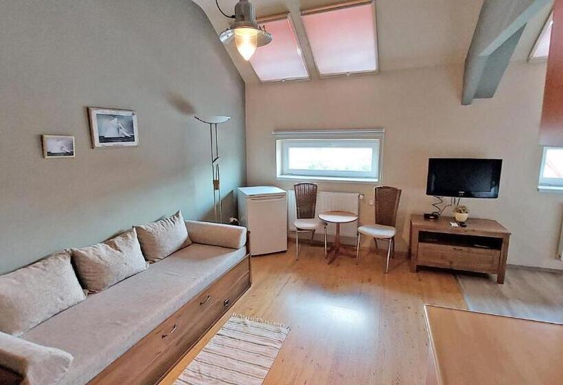 酒店 Oazis Panzió