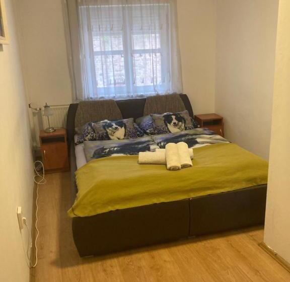 ホテル Retro Panzió