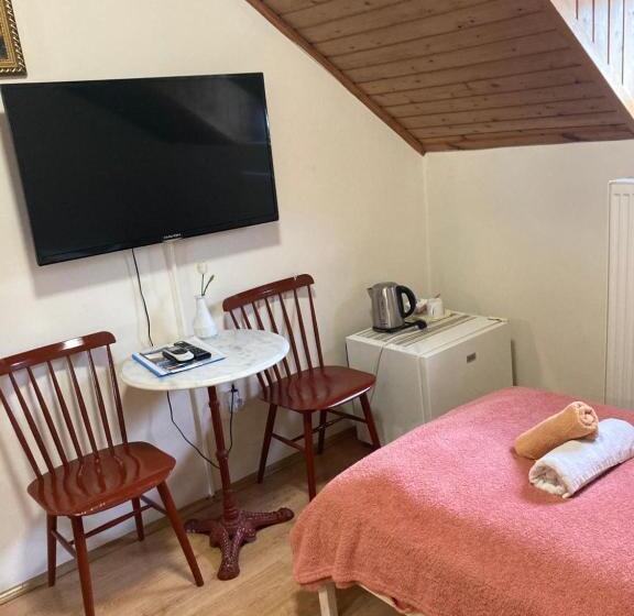 ホテル Retro Panzió