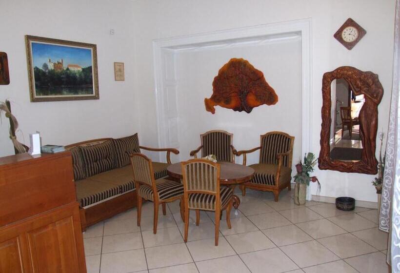 בית מלון כפרי Rákóczi Panzió