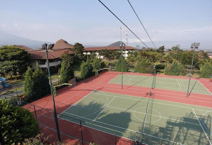 酒店 The Singhasari Resort Batu