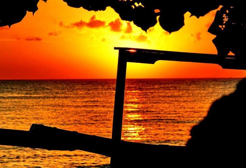 בית מלון כפרי Tulamben Backpacker