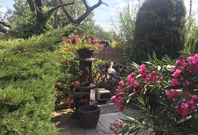 Katalin Motel & étterem