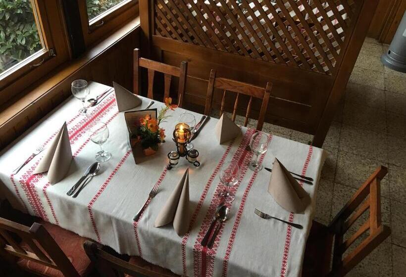 Kis Duna Motel & Camping