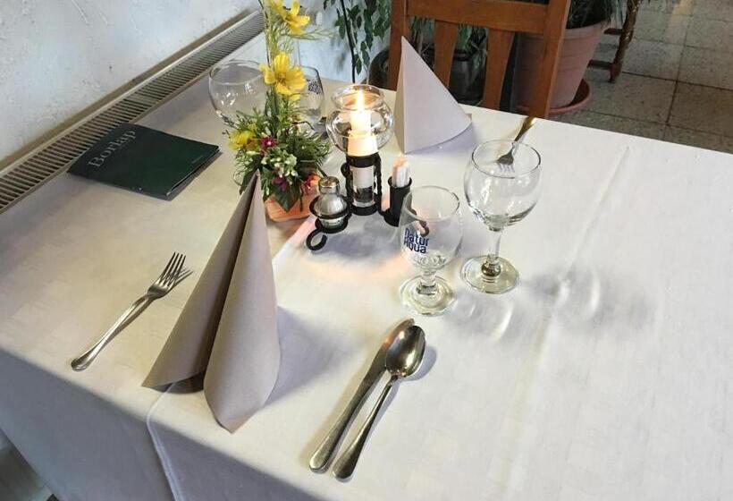 Kis Duna Motel & Camping