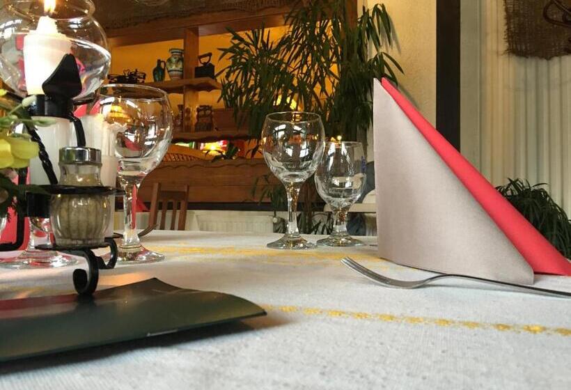 Kis Duna Motel & Camping