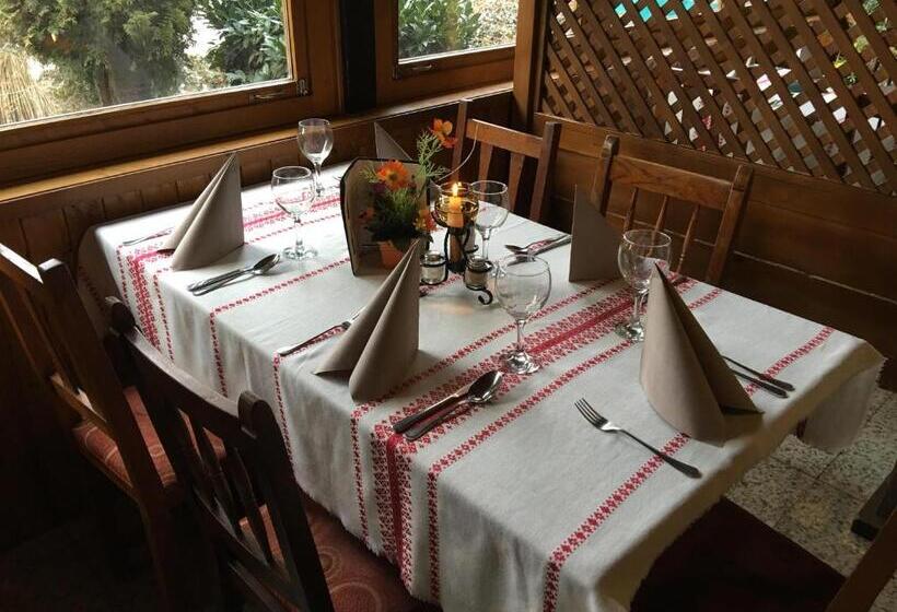 Kis Duna Motel & Camping