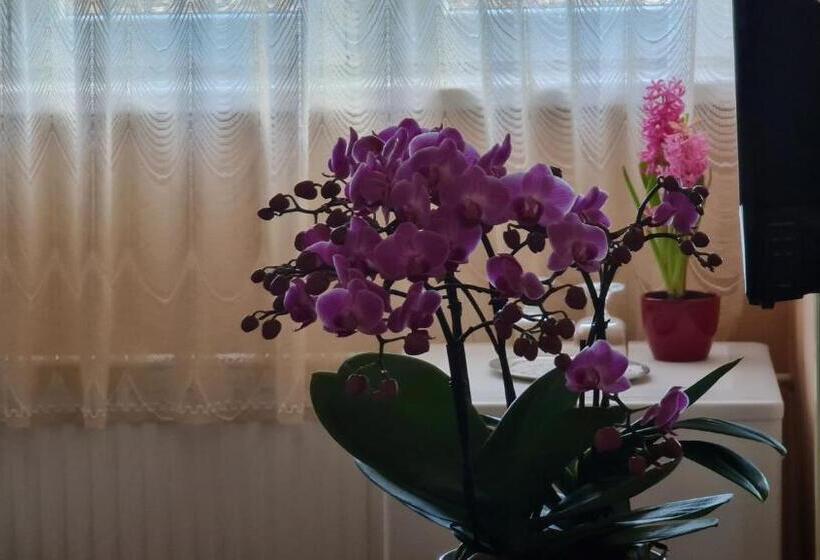 Oázis Hotel étterem