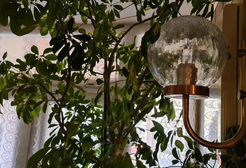 Oázis Hotel étterem