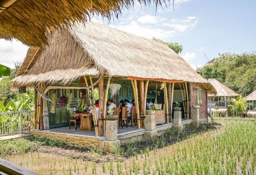 استراحتگاه Kts Balinese Villas
