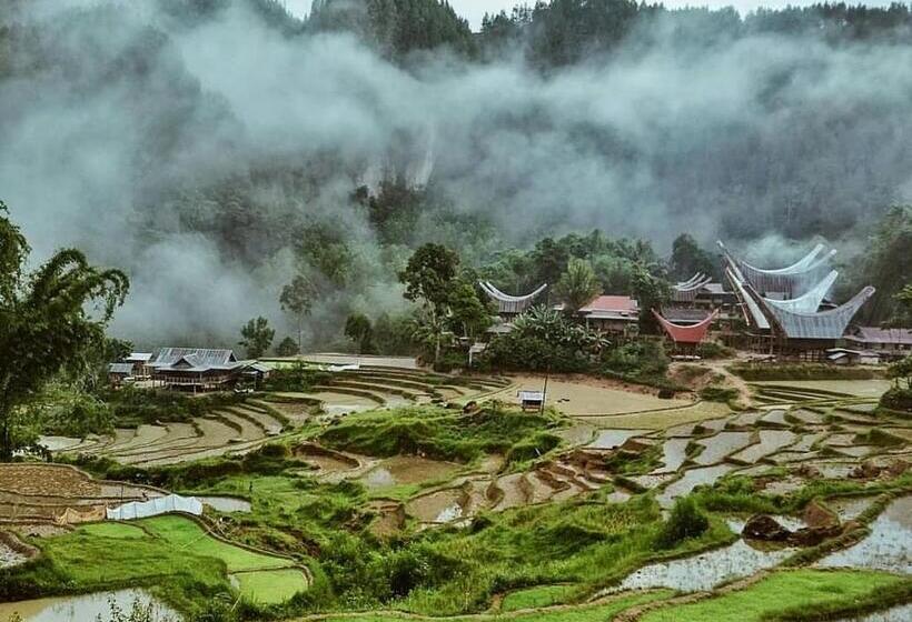 Курорт Toraja Misiliana