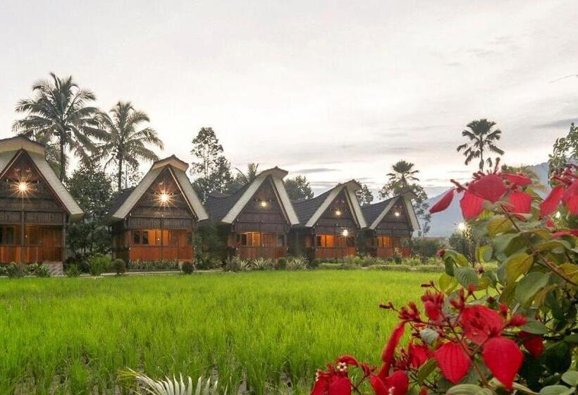 استراحتگاه Toraja Misiliana