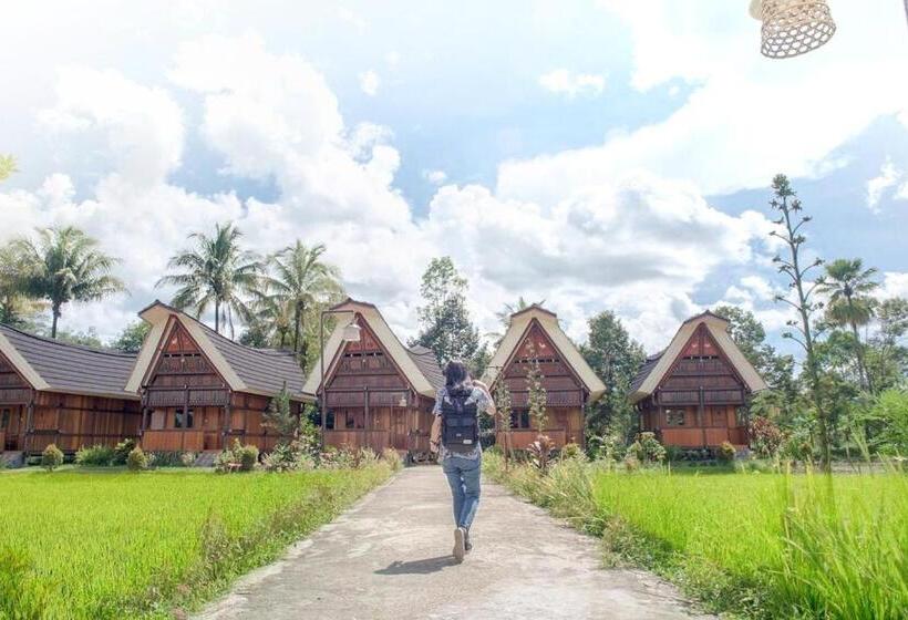 Курорт Toraja Misiliana