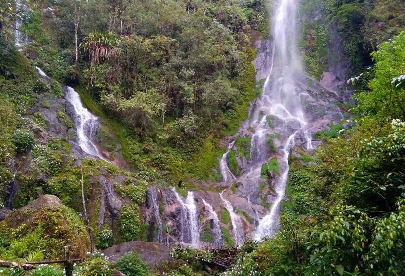 Курорт Toraja Misiliana