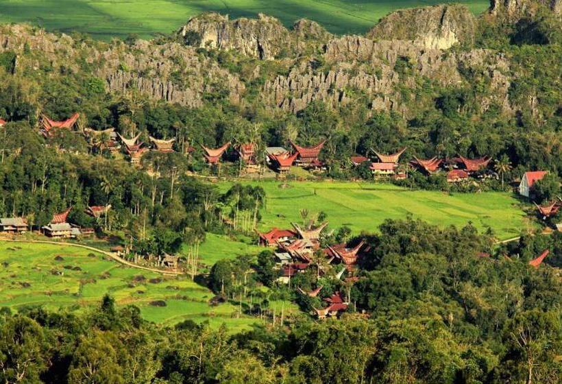 Курорт Toraja Misiliana