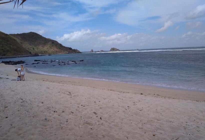 膳宿费 Breeze Hostel