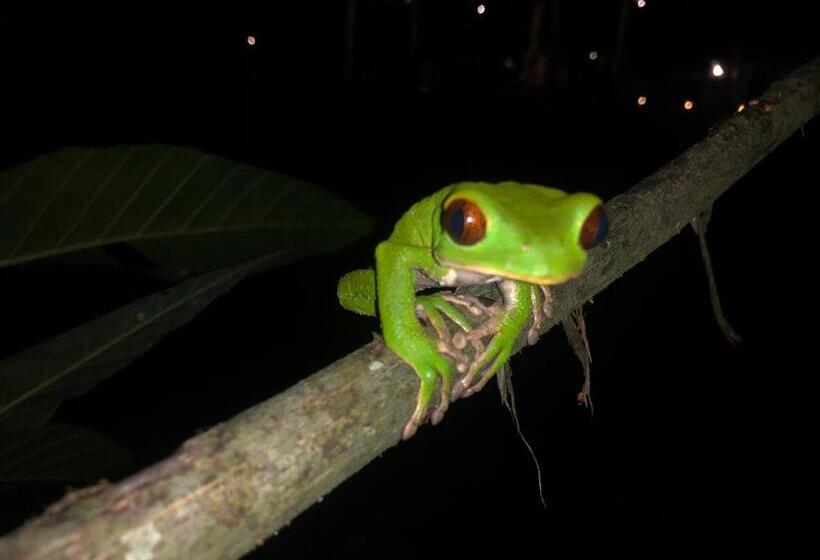 هتل Jungle Lodge El Jardin Aleman