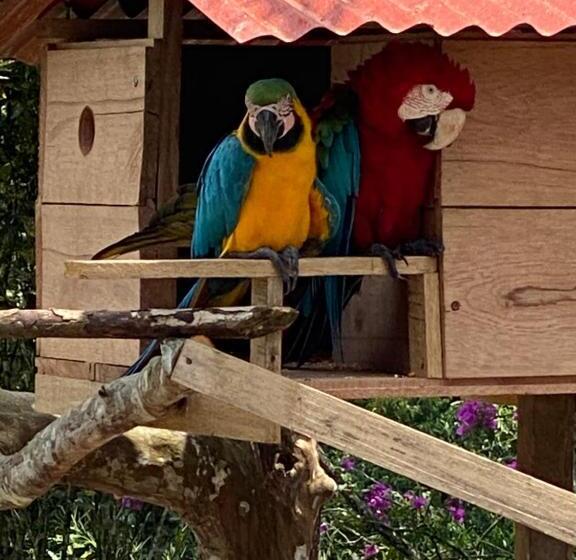 هتل Jungle Lodge El Jardin Aleman