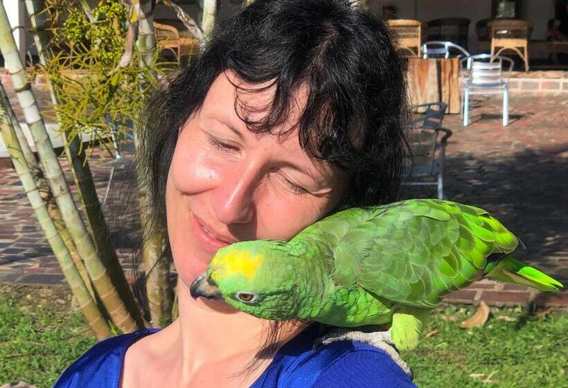 هتل Jungle Lodge El Jardin Aleman