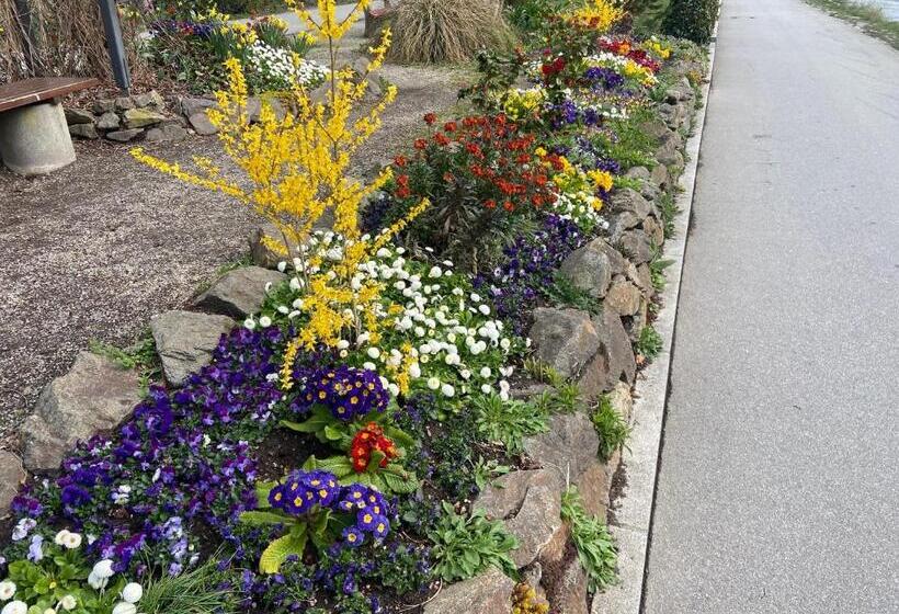 בית מלון כפרי Neues Haus   Berggasthof Und