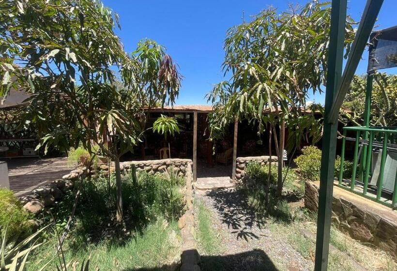 膳宿费 Cabañas Tia Flor