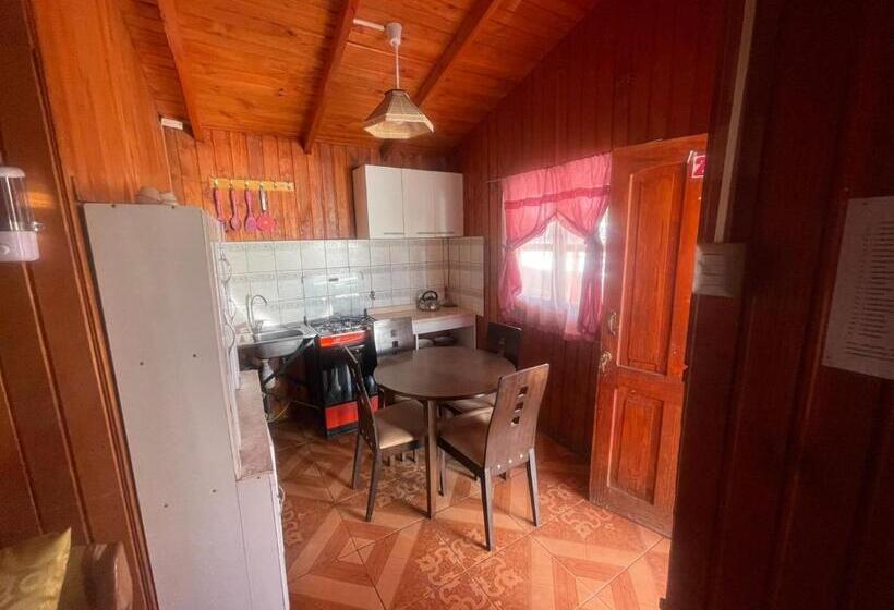 膳宿费 Cabañas Tia Flor