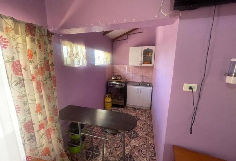 膳宿费 Cabañas Tia Flor