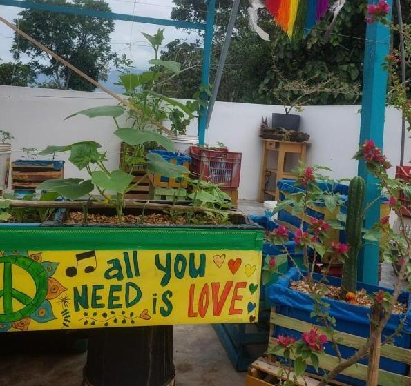 پانسیون Casa De Viole