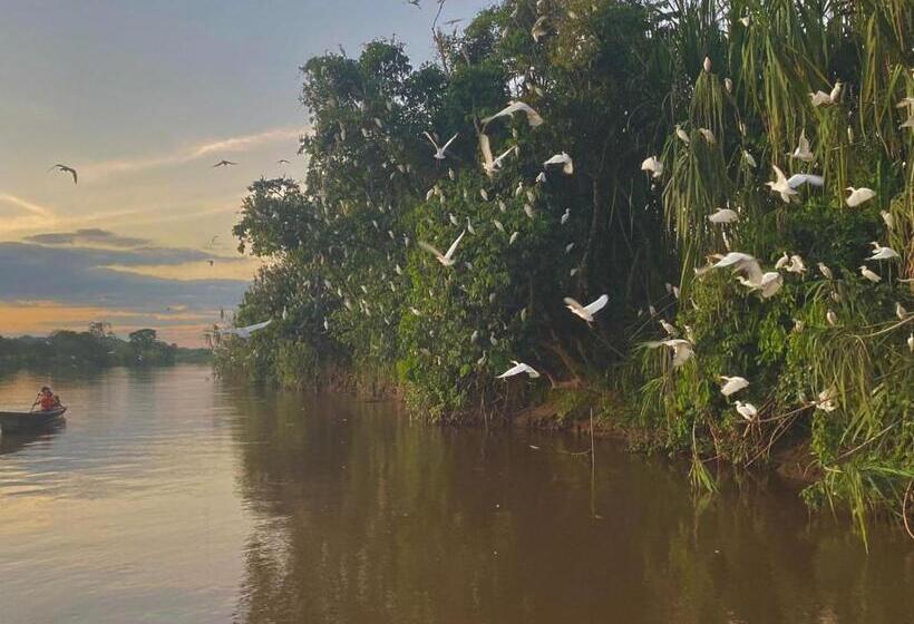 پانسیون Casa De Viole