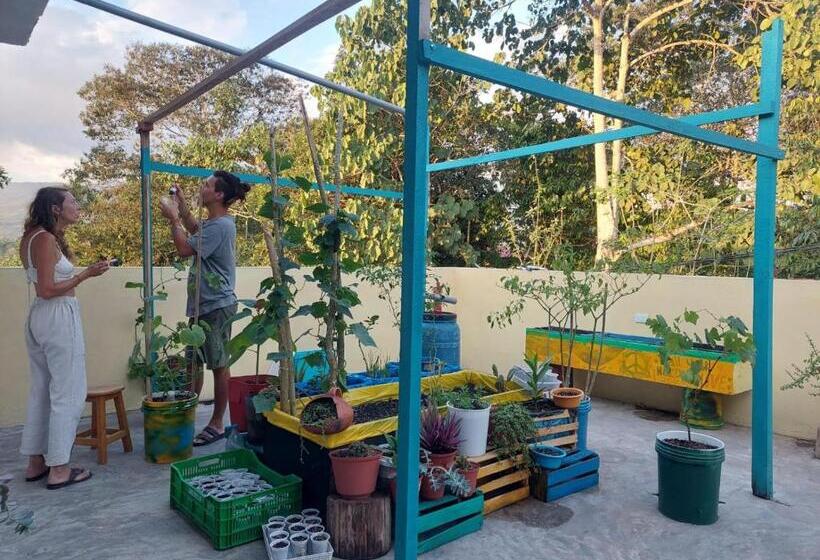 پانسیون Casa De Viole