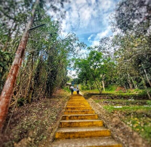 پانسیون Casa De Viole