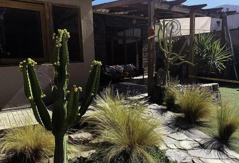 膳宿费 Hostal Villa Italo