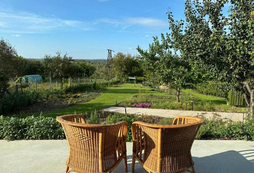 펜션 Rábai Katalin Borászat és Vendégház