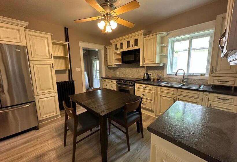 بنسيون The Red Star D