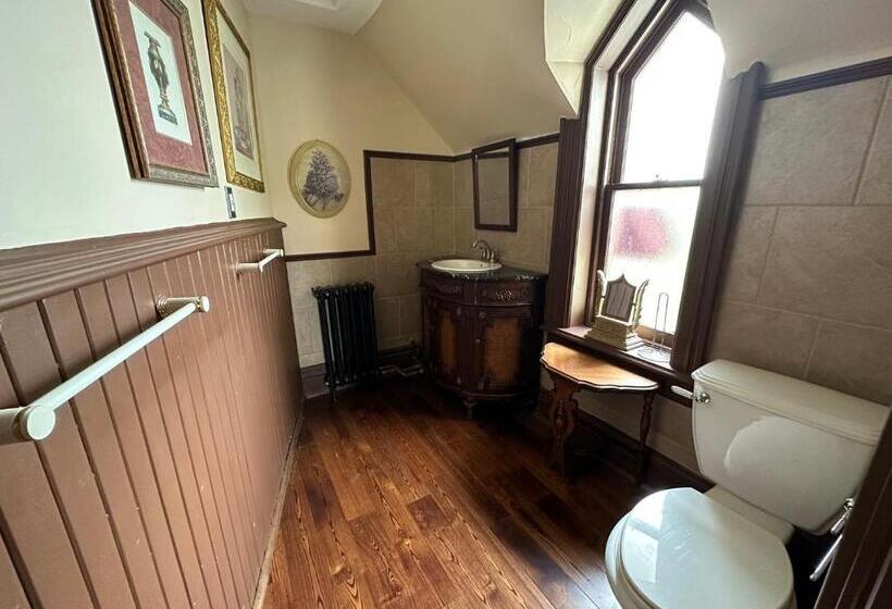 بنسيون The Red Star D