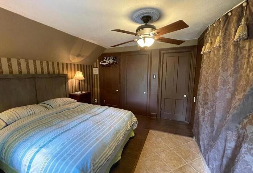 بنسيون The Red Star D