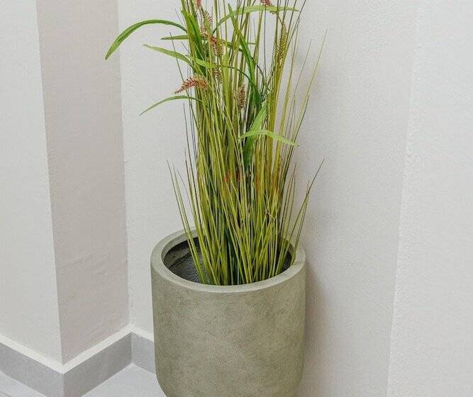 Achatis Apartments With Sea View