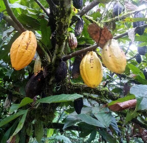 هاستل River Spot Lodge