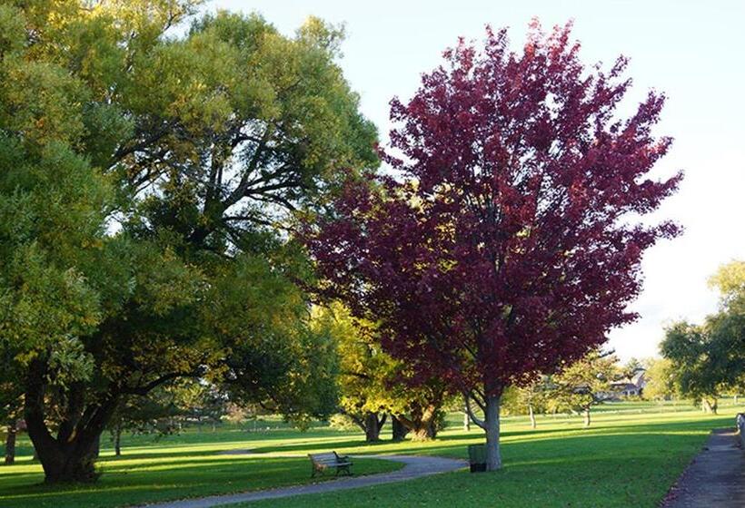 צימר Pelican Guest House. Village Style Living. Spend Vacation Time In Eco Place!