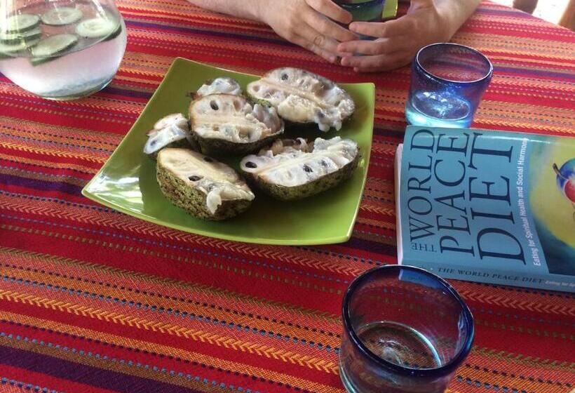 ベッドアンドブレックファースト Samai Lodge Holistic Living