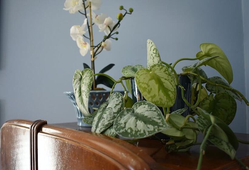 Bed and Breakfast The Trott House Inn