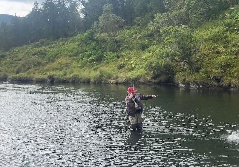 فندق Driftwood Wilderness Lodge