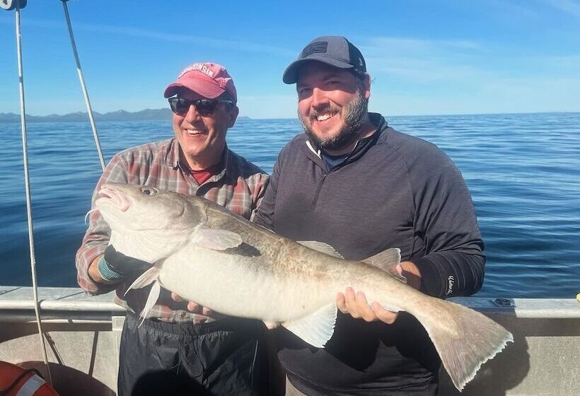 فندق Driftwood Wilderness Lodge