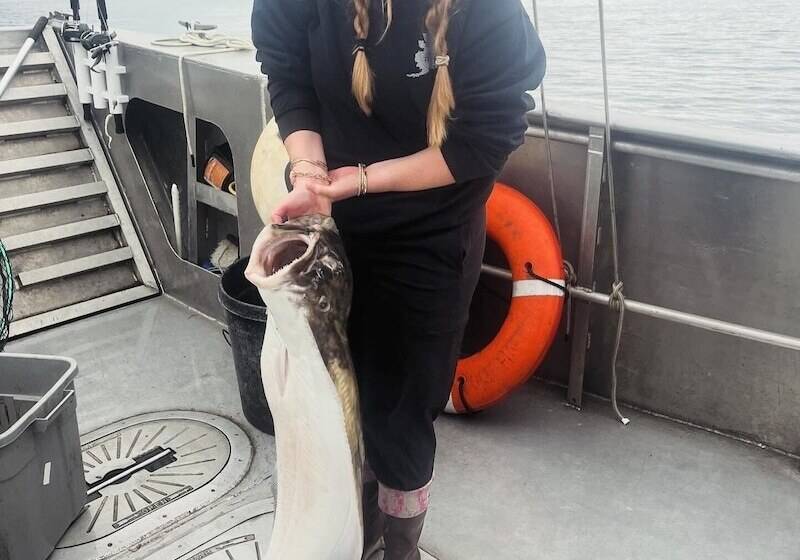 فندق Driftwood Wilderness Lodge